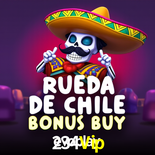 Experiência VIP 234Vip